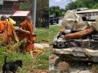 Oito monges morrem após caminhonete dirigida por menino de 11 anos atingir grupo na tailândia